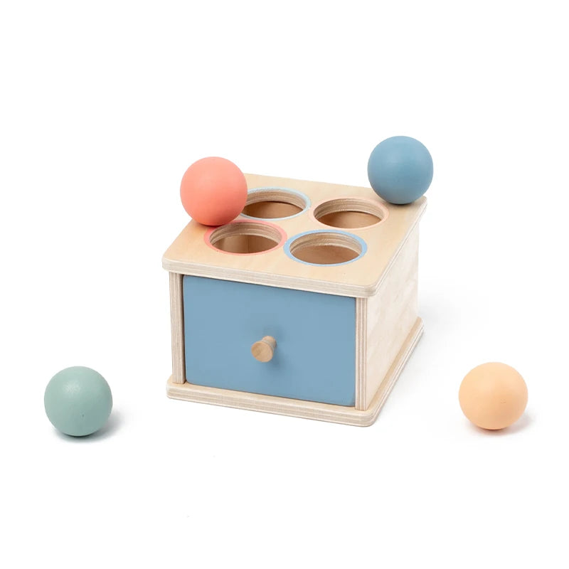 ersatile Montessori Sorter Cabinet